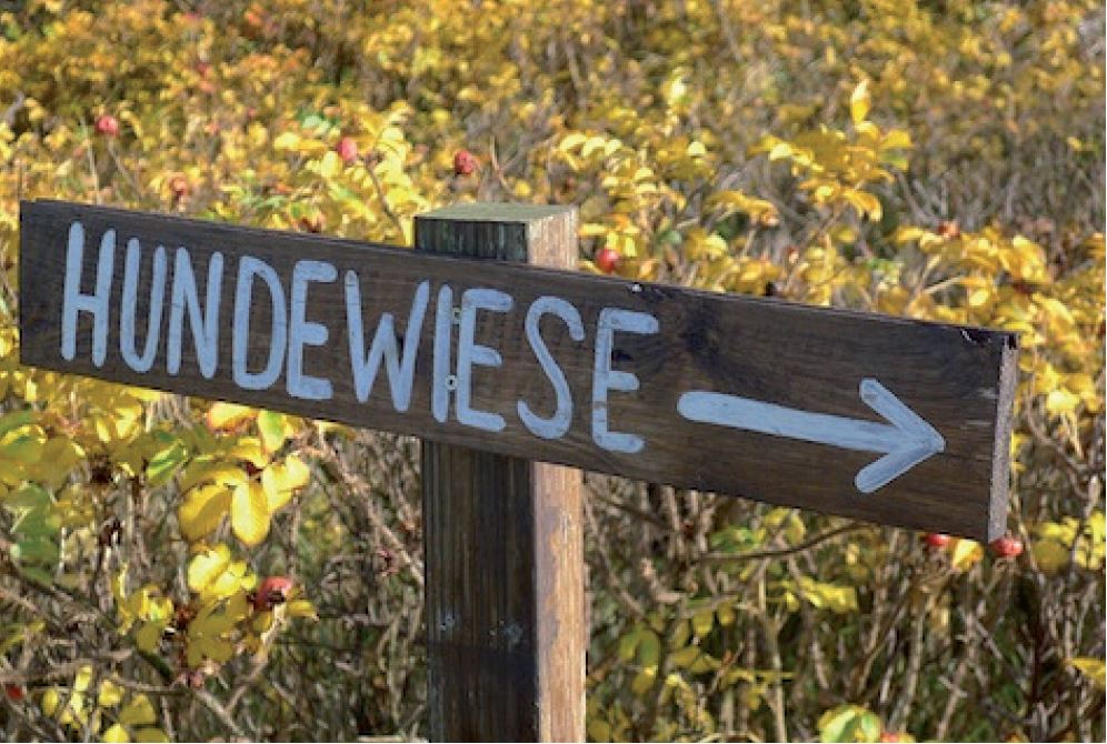 Weg zur Hundewiese